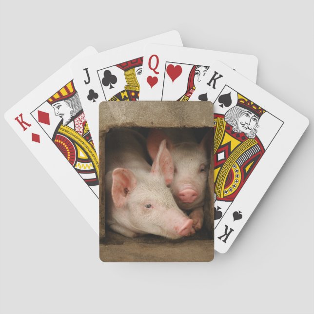 Curious Piglets Playing Cards (Back)