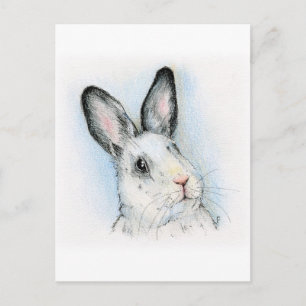 Curious Postcard