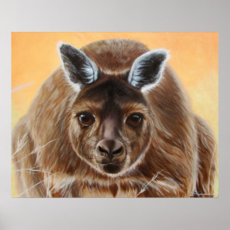 CURIOUS POSTER