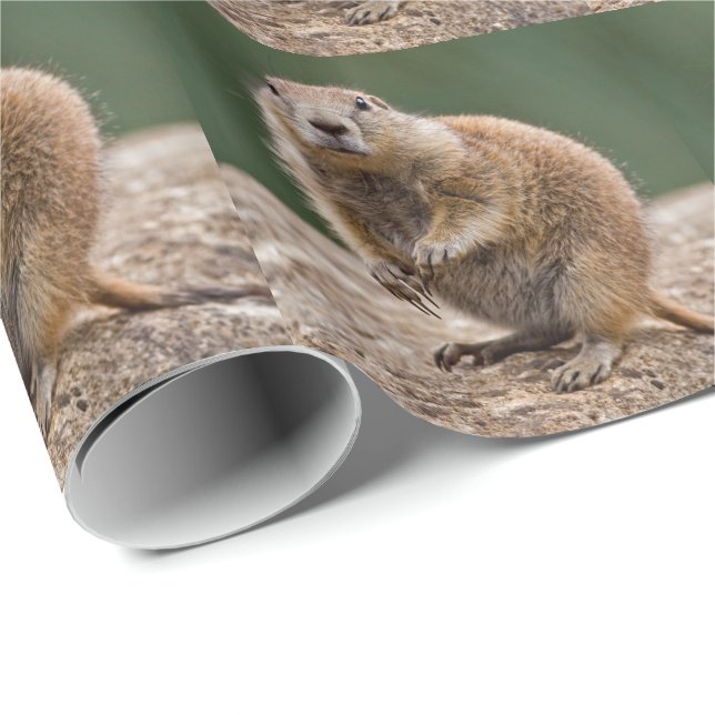 Curious Prairie Dog Wrapping Paper (Roll Corner)
