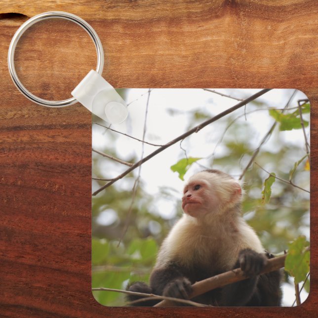 Curious Primate, White-Faced Capuchin Key Ring (Front)