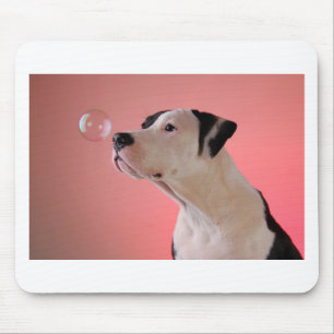 Curious pup mouse pad