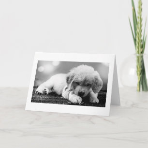 Curious Puppy Blank Card