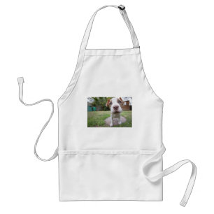 Curious Puppy Standard Apron