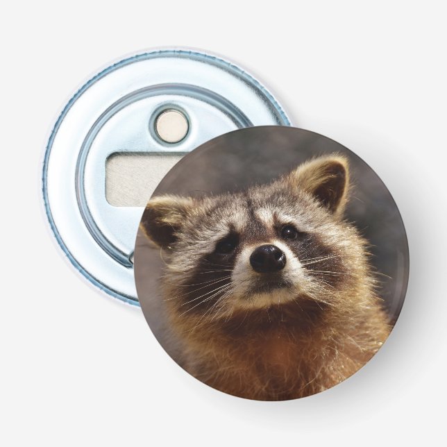 Curious Racoon Bottle Opener (Front)