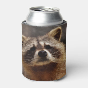 Curious Racoon Can Cooler