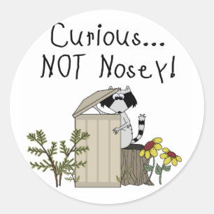 Curious Racoon Classic Round Sticker
