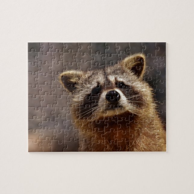 Curious Racoon Jigsaw Puzzle (Horizontal)