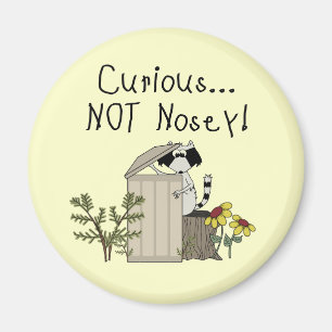 Curious Racoon Magnet
