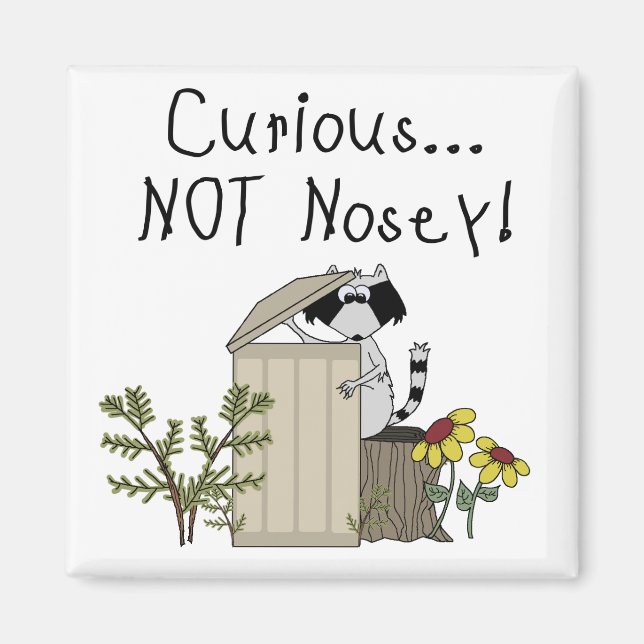 Curious Racoon Magnet (Front)