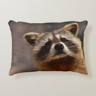 Curious Racoon Photo Decorative Cushion