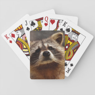 Curious Racoon Playing Cards