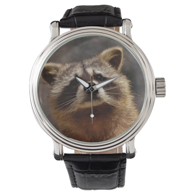Curious Racoon Watch (Front)