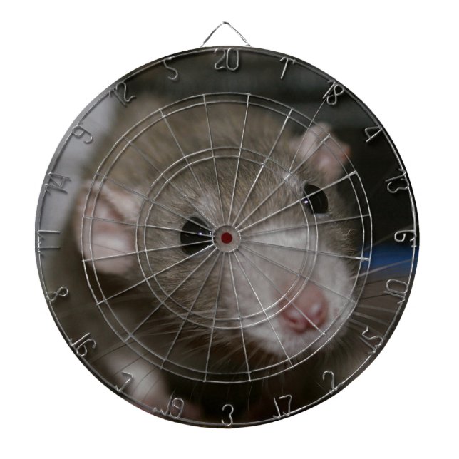 Curious Rat Dartboard (Front)