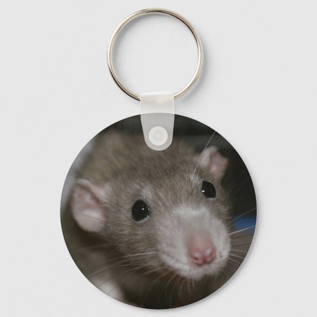 Curious Rat Key Ring (Front)