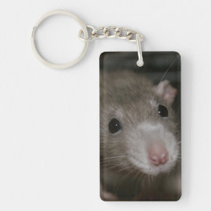 Curious Rat Key Ring