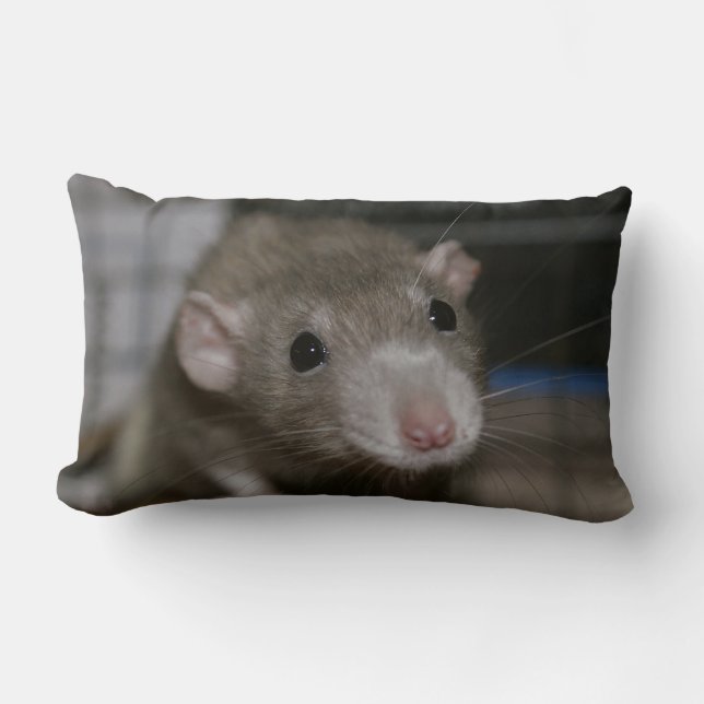 Curious Rat Lumbar Cushion (Front)