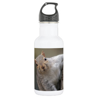 Curious Squirrel 532 Ml Water Bottle