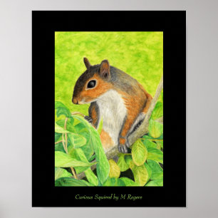 Curious Squirrel Art Print