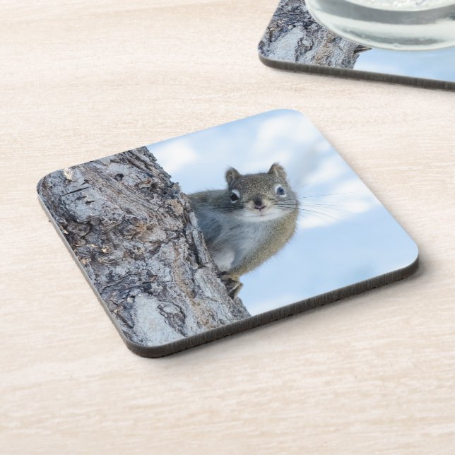 Curious Squirrel, Canadian Animal Photography Coaster (Left Side)