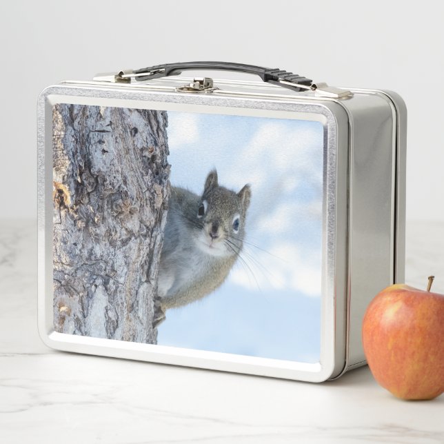 Curious Squirrel, Canadian Animal Photography Metal Lunch Box (In Situ)