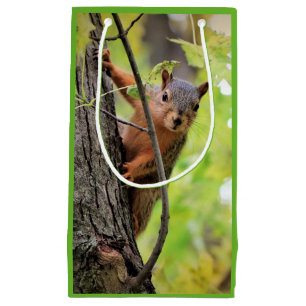 Curious Squirrel Gift Bag