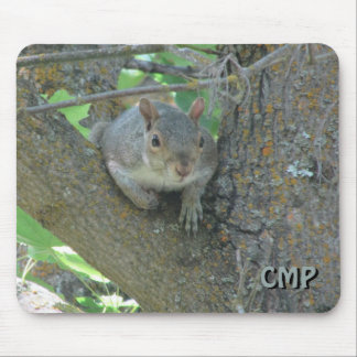 Curious Squirrel in Tree with Your Initials Mouse Pad
