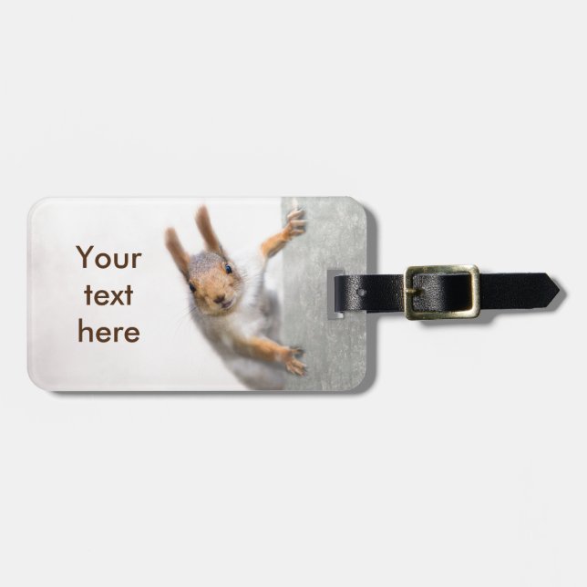 Curious squirrel luggage tag (Front Horizontal)