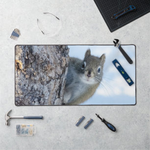 Curious Squirrel, Peaking From A Tree Desk Mat