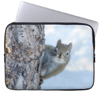 Curious Squirrel, Peaking From A Tree
