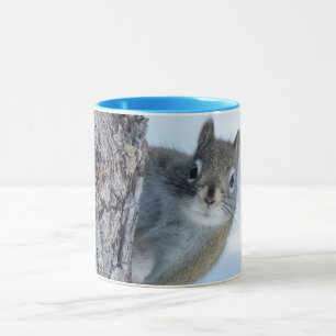 Curious Squirrel, Peeking From a Tree Mug