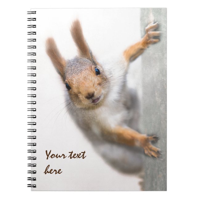 Curious squirrel spiral notebook (Front)