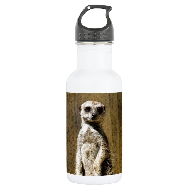 Curious Standing Meerkat - Suricata suricatta 532 Ml Water Bottle (Front)