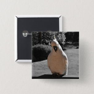 Curious Sulphur-Crested Cockatoo 15 Cm Square Badge