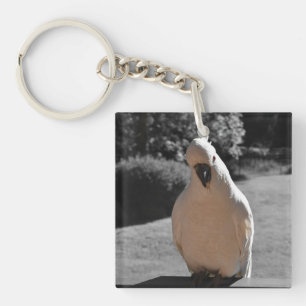 Curious Sulphur-Crested Cockatoo Key Ring