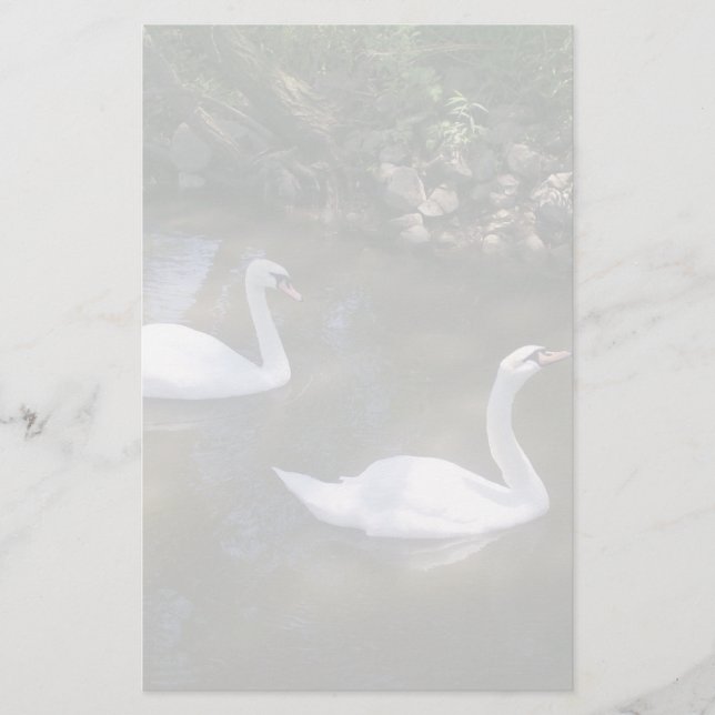 Curious Swans Stationery (Front)