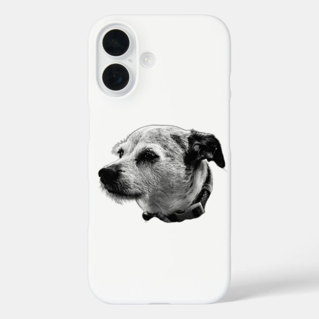 Curious Terrier Mix iPhone Case (Back)