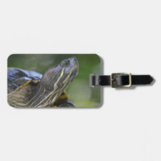 Curious Turtle Luggage Tag