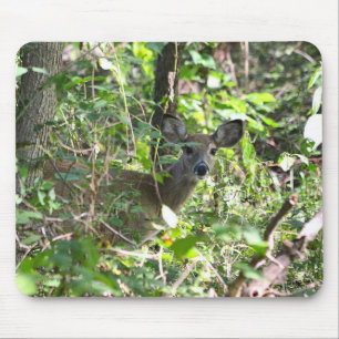 Curious Whitetail Deer Mouse Pad