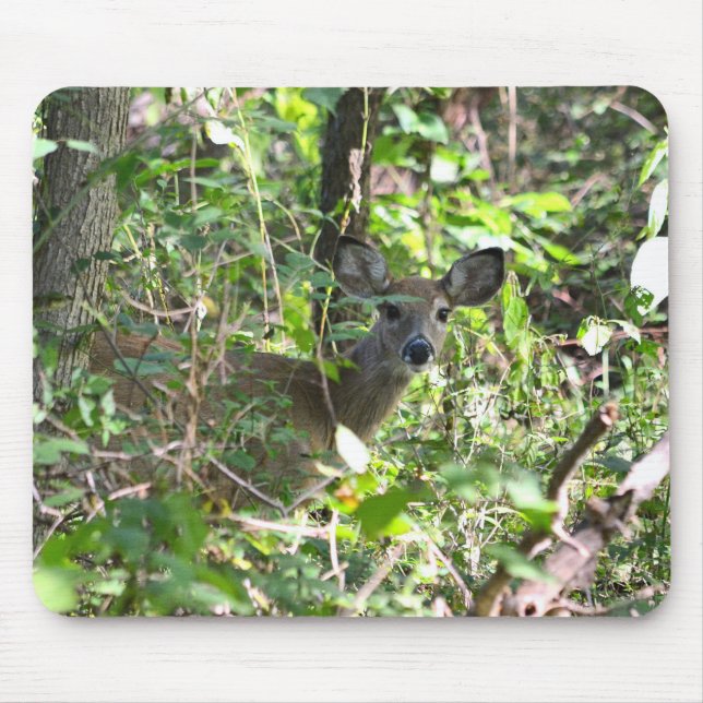 Curious Whitetail Deer  Mouse Pad (Front)