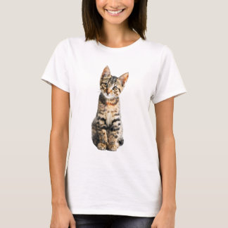 Curious Wide Eyed Tabby Kitten Portrait Women T-Shirt
