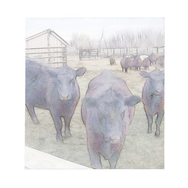 Curious Young Black Angus Notepad (Front)