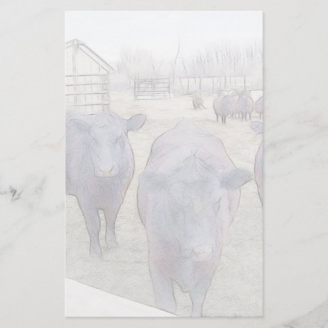 Curious Young Black Angus Stationery (Front)