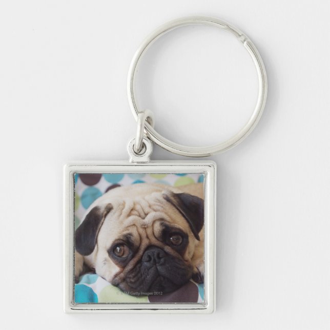 curious young pet key ring (Front)