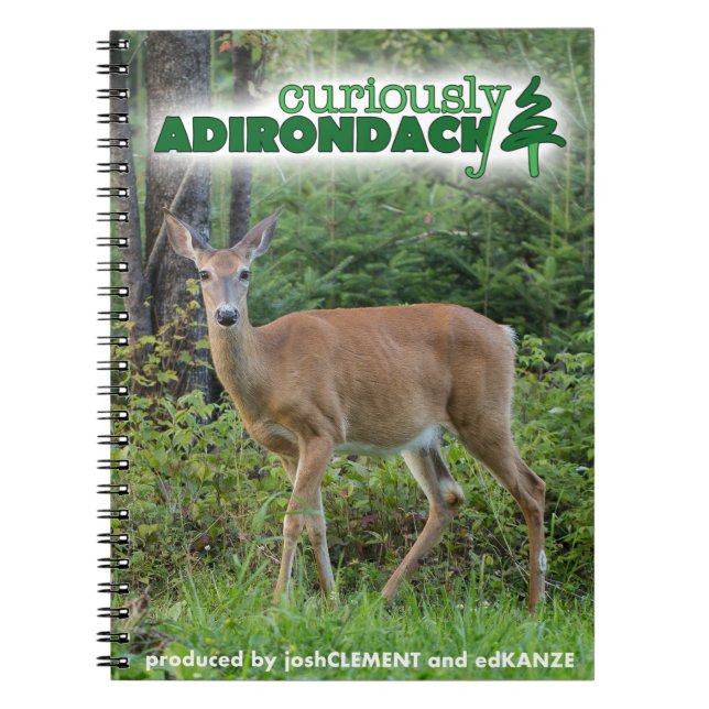 Curiously Adirondack note book (deer) (Front)
