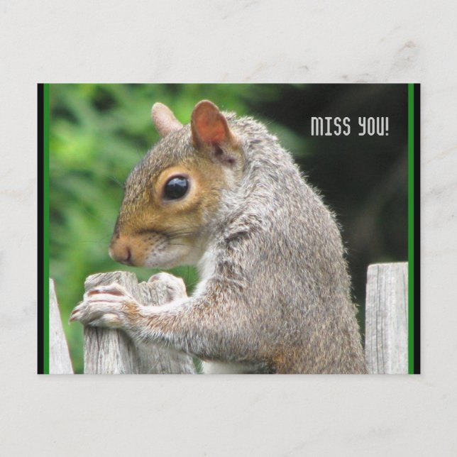 Curiously Cute, Miss you! Postcard (Front)