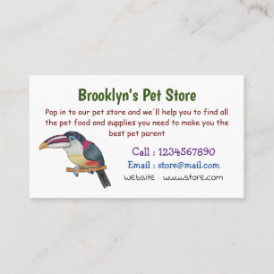 Curl crested aracari bird cartoon illustration business card