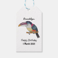 Curl crested aracari bird cartoon illustration