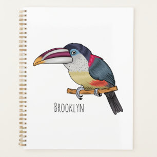 Curl crested aracari bird cartoon illustration planner