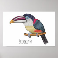 Curl crested aracari bird cartoon illustration
